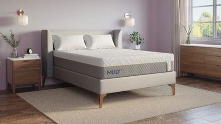 Mlily WellFlex 2.0 ~ Twin XL