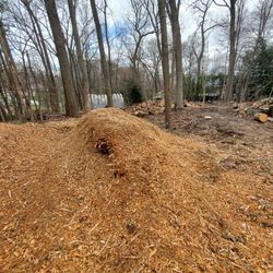 Free Mulch