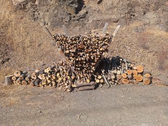 Fire wood
