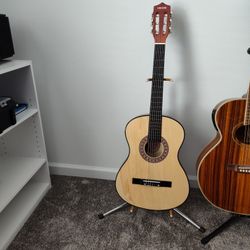Beginner Guitar 