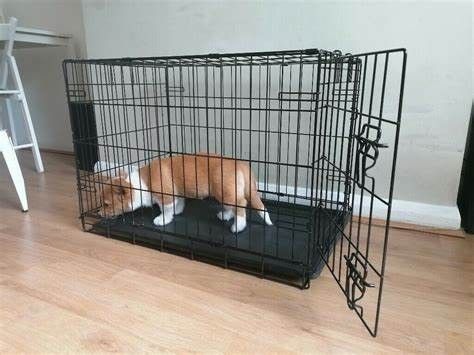 Dog Crate 36 "