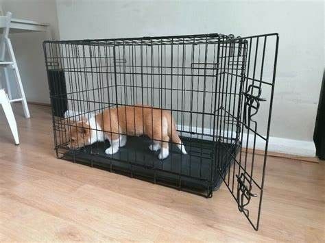 Dog Crate  36 "