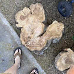 Live Edge Olive Wood Cookies 