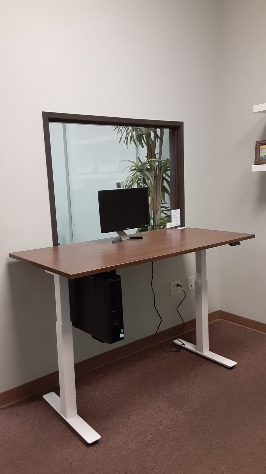 Walnut Electronic Sit/Stand Desk