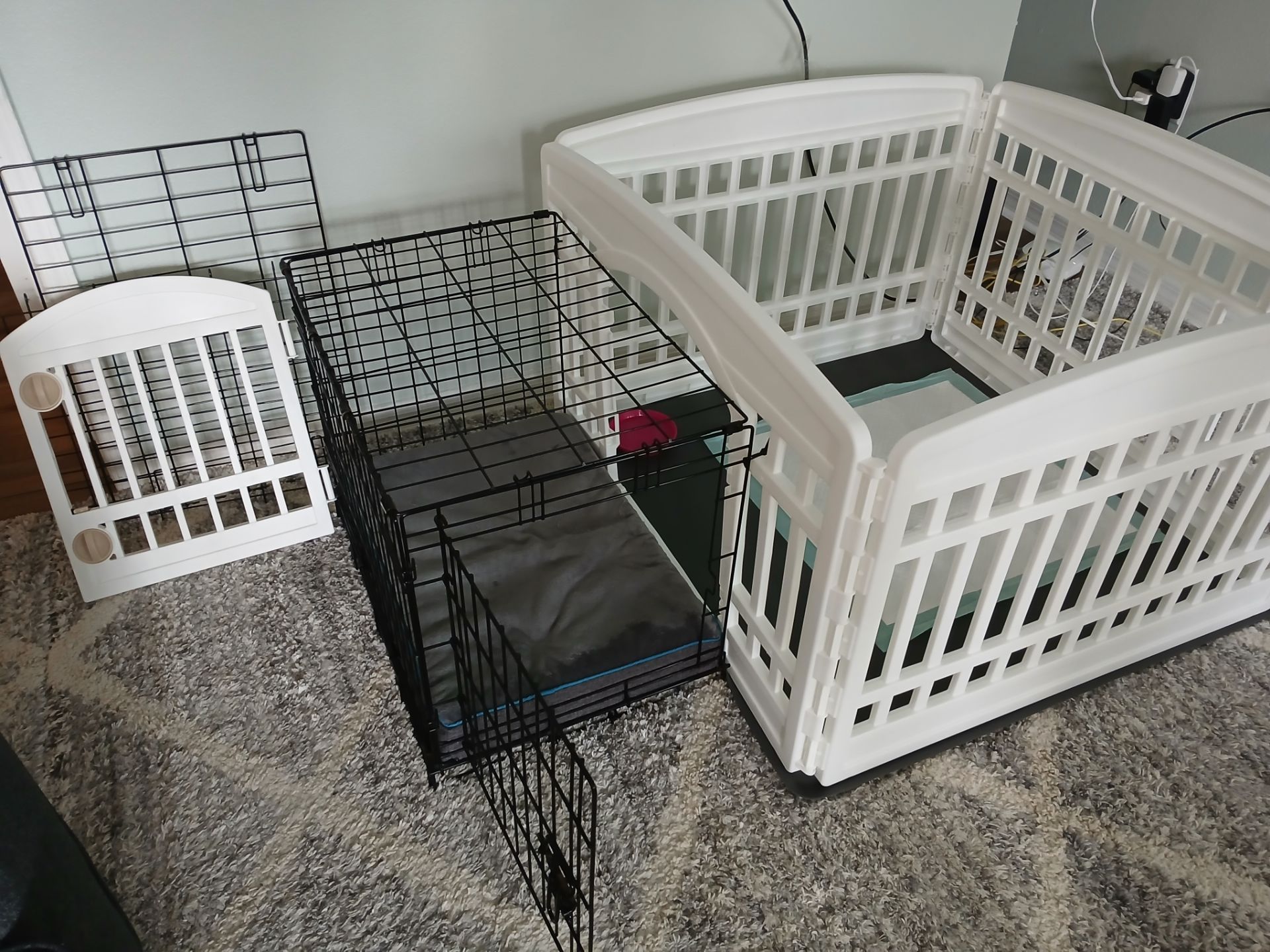 Indoor Small Pet Setup - READ DESCRIPTION