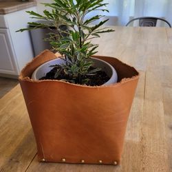 Leather Planter