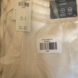 hollister jogger unisex