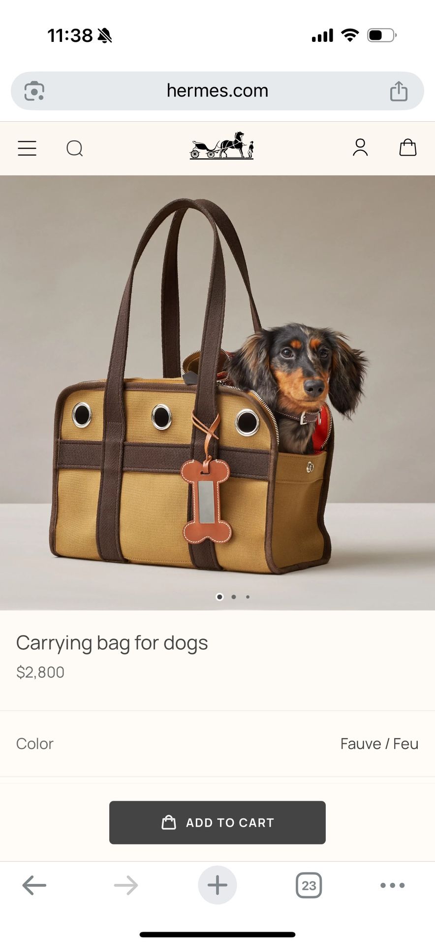 Hermés Pet Carrier Bag