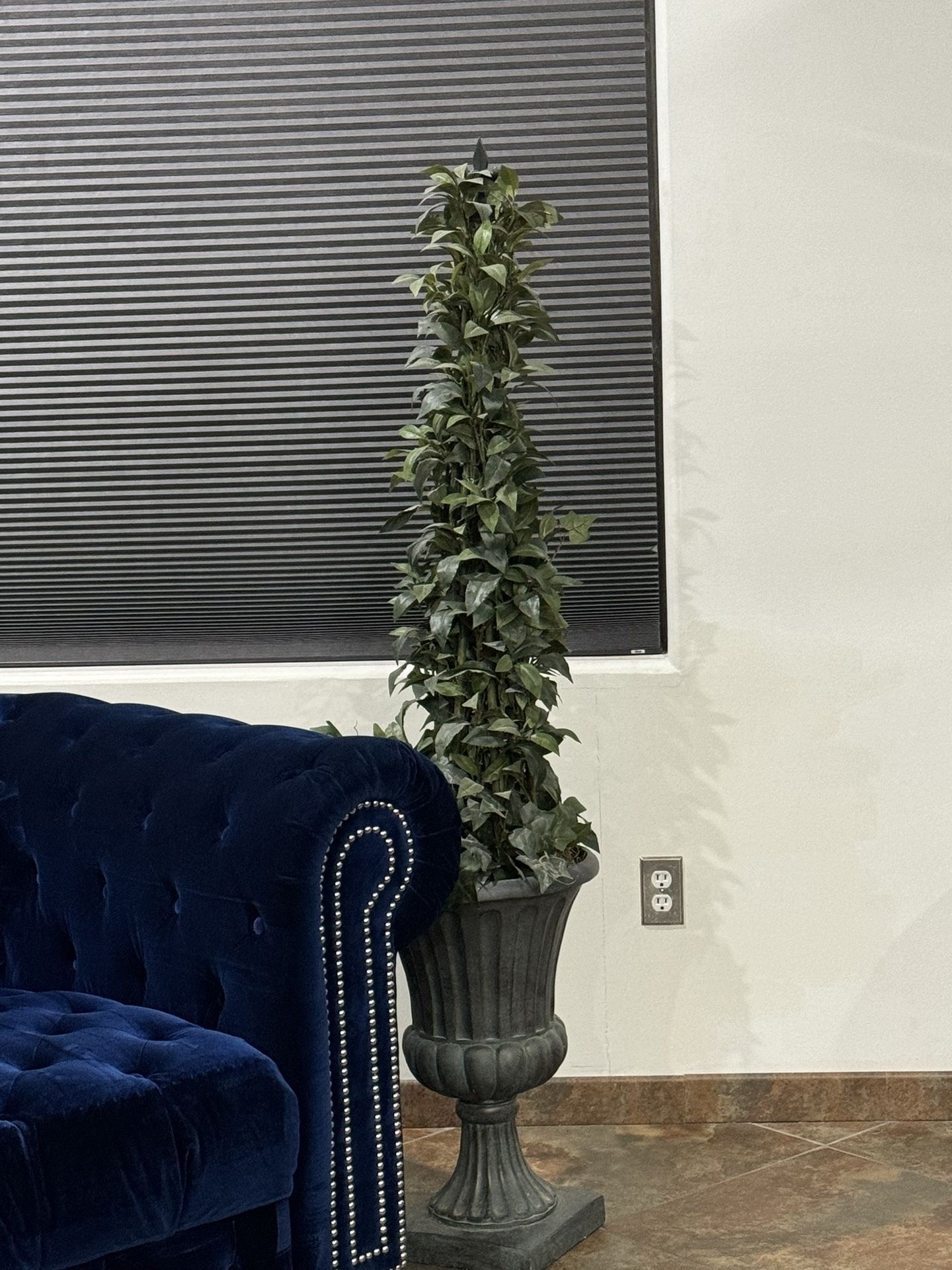 Gorgeous Topiary