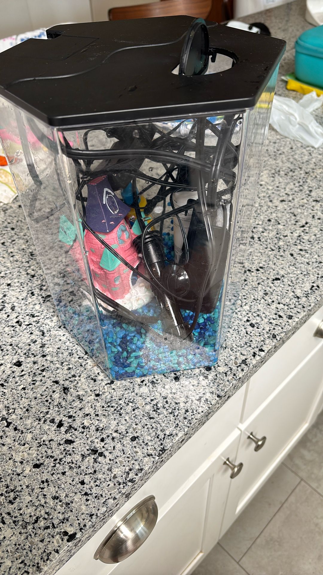 Betta Fish Tank
