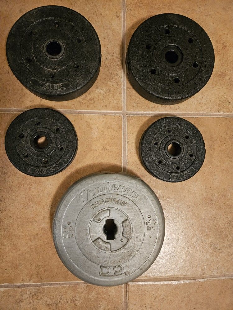 Exercise Lifting Weights - Plates