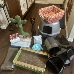 Bundle of Cat Pet Supplies