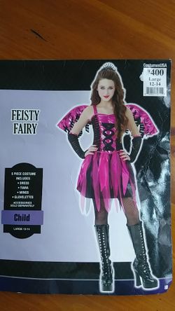 Girl Feisty Fairy costume sz 12-14
