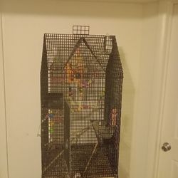 Big Bird Cage