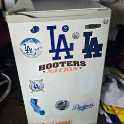Mini Fridge