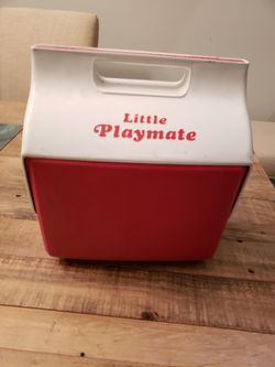 Cooler or Lunchbox --- Grade A for Awesome!