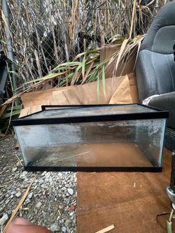 20 gallon tank long