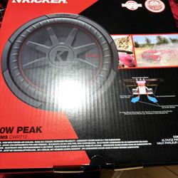 Kicker RT 12”