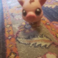 Pig Walks And Makes Sounds