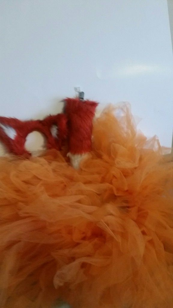 Fox costume for 6+ $15