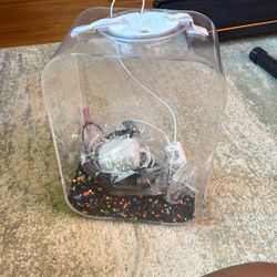Bioorb Tank