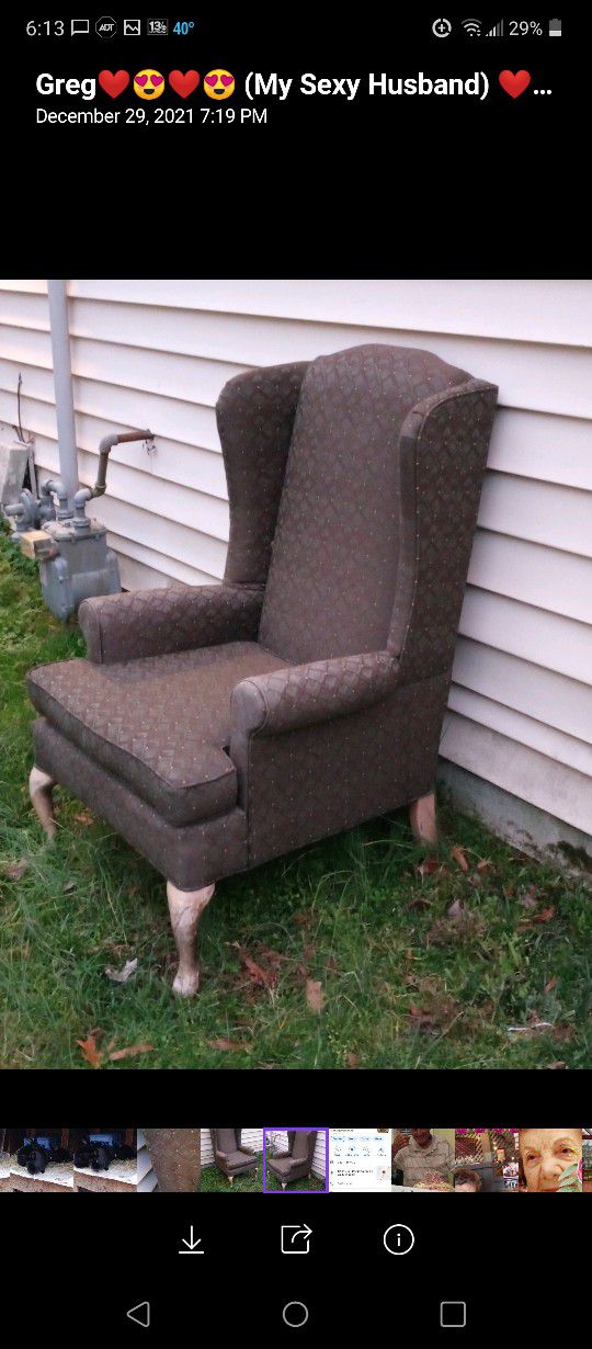   Moss Green Chenille Wingback Chair