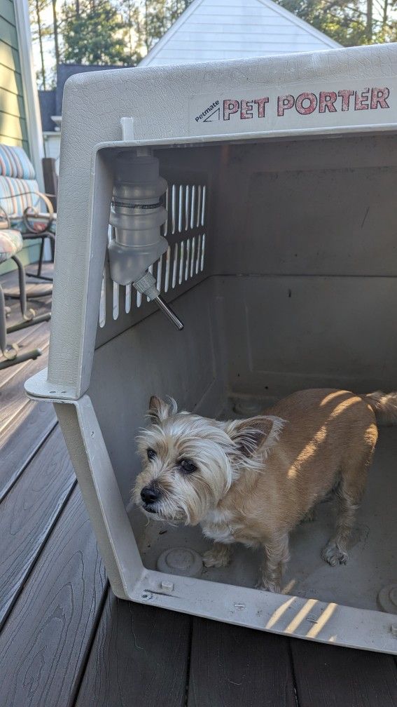 Large Dog Crate