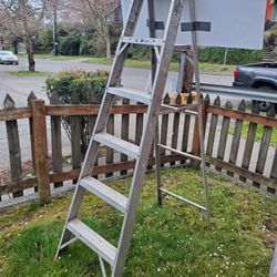 6 ft aluminum ladder