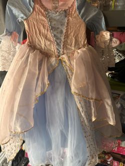 Cinderella Vintage Costume 