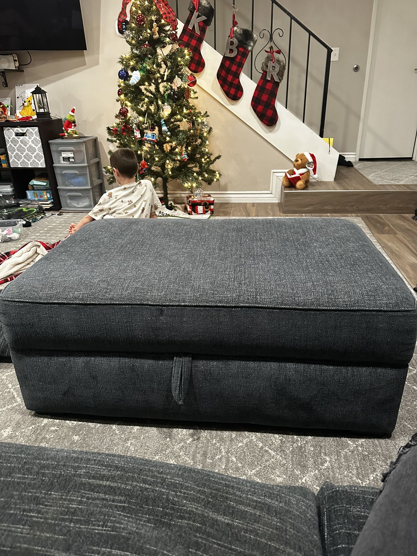 Living spaces Twilight storage ottoman