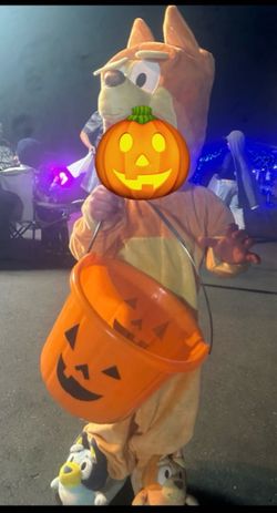 Bingo toddler costume 2T