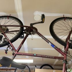 Giant Acapulco Bike