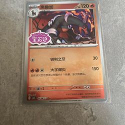 Houndoom Chinese Stamp Pokemon Card