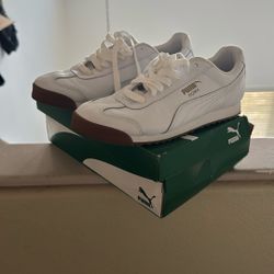 Puma Roma