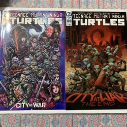 Teenage Mutant Ninja Turtles: City At War Cover A & B