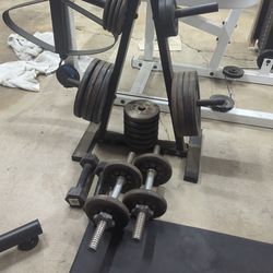 Dumbbells Weights Weight Tree