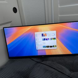 29 inch LG Ultrawide Monitor 29WQ500-B