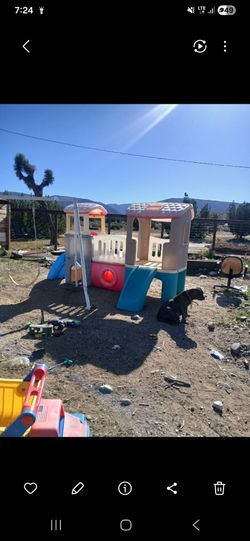 Toddler Jungle Gym