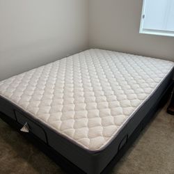 Titan Adjustable Bed & Queen Mattress