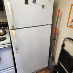 Working Refrigerator