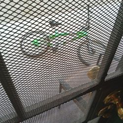 20 Inch Chaos Bike