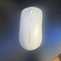 Wireless Mouse 