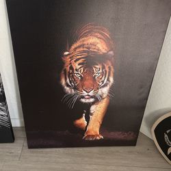 Tiger Poster