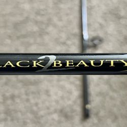 Black Beauty 2 Fishing Rod - 2 Piece Brand New 