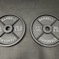 Pair Of 45 Pound Weight Plates 