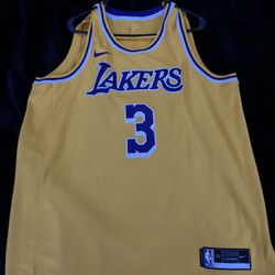 Nike Adult Los Angeles Lakers Anthony Davis #3 Icon Jersey