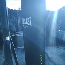 Everlast Punching Bag 🥊🥊