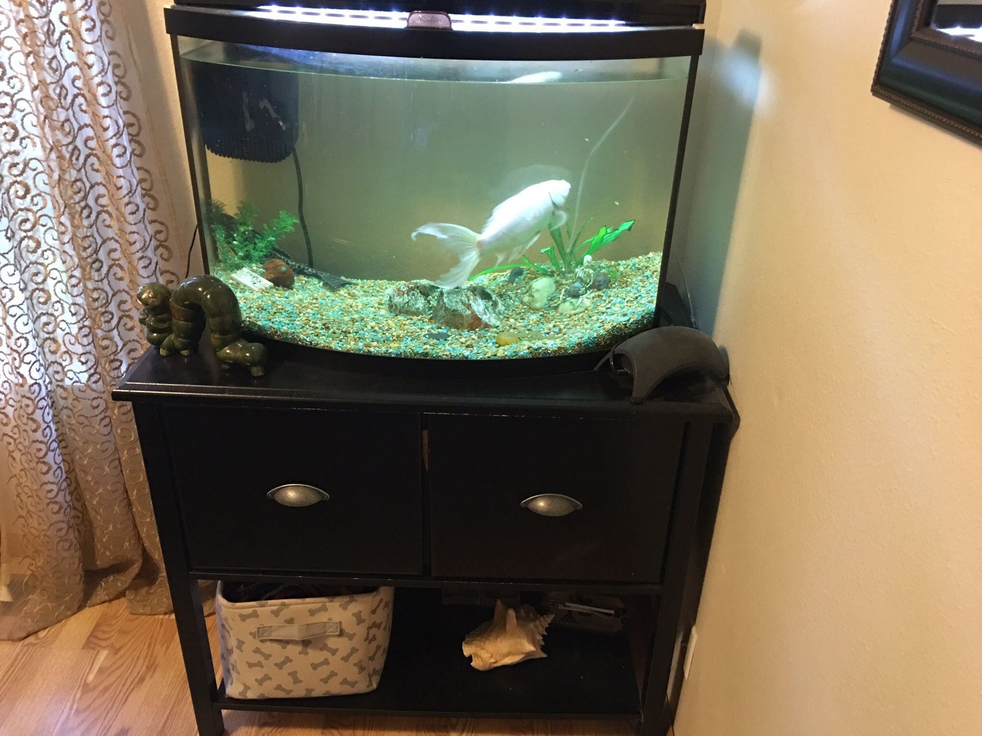 35 gallon top fish tank