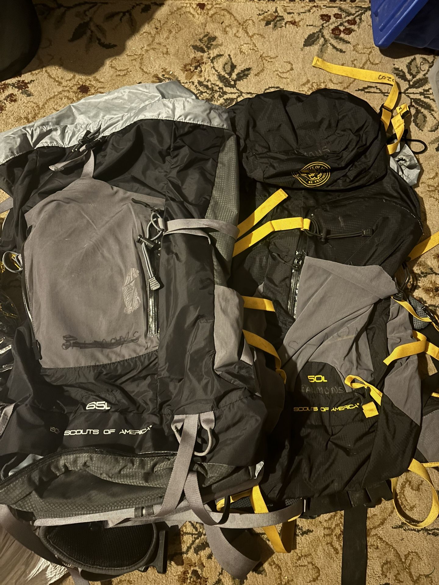 Set of 2 Hiking Backpacks