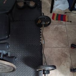 Olympic Bench Press 